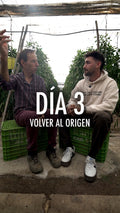 📹 DÍA 3